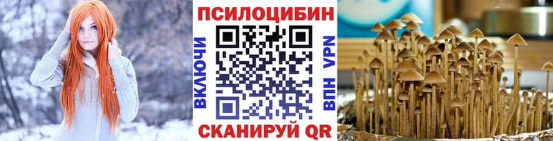 Псилоцибиновые грибы ЛСД  дарк нет клад  Мариинский Посад  купить закладку 